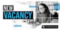 Sales Executive