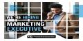 Marketing Executive