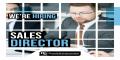Sales Director 