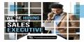 Sales Executive 